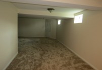 Carter Basement Dayton